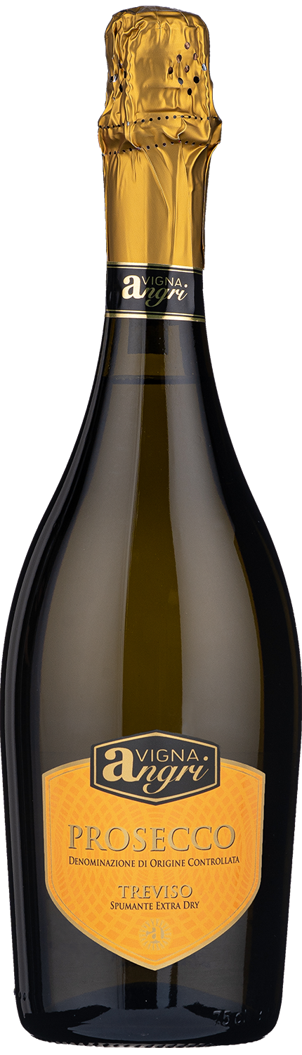 Prosecco Spumante DOC Treviso Extra Dry Vigna Angri wine bottle
